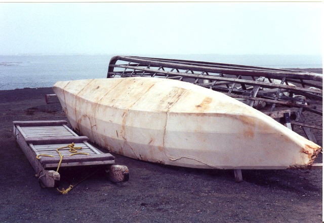 Barrow Alaska Photo 4